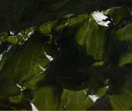 Avocatus